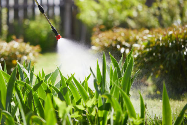 24/7 Emergency Mosquito Control experts in Mount Horeb, WI